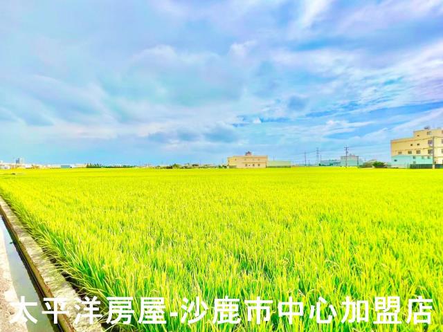 台中農地-2